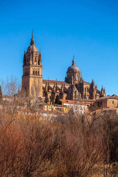 Catedral Nova Catedral Nueva Uma Das Duas Catedrais Salamanca Construído — Fotografia de Stock