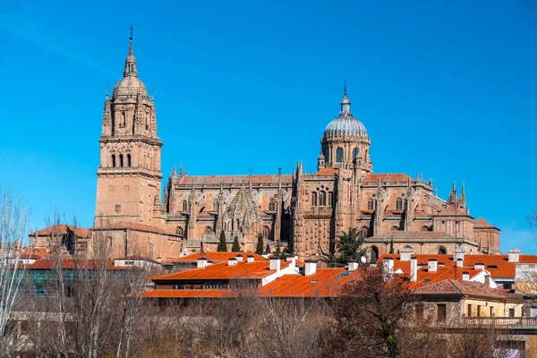 Catedral Nueva Nieuwe Kathedraal Een Van Twee Kathedralen Van Salamanca — Stockfoto