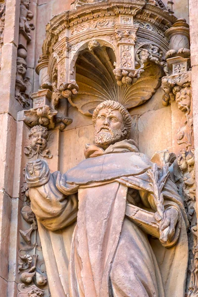 Convento Las Duenas Ayrıntıları Salamanca Bir Dominik Manastırı Yüzyıllarda Inşa — Stok fotoğraf