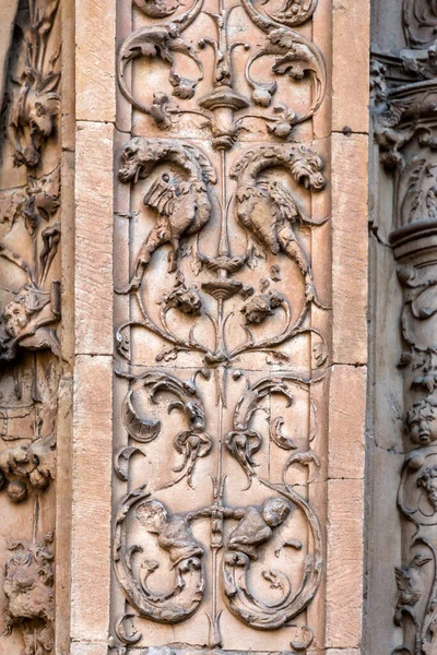 Detail Van Het Convento Las Duenas Een Dominicaans Klooster Salamanca — Stockfoto