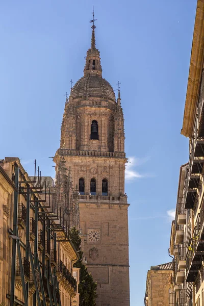 Cattedrale Nuova Catedral Nueva Una Delle Due Cattedrali Salamanca Costruito — Foto Stock