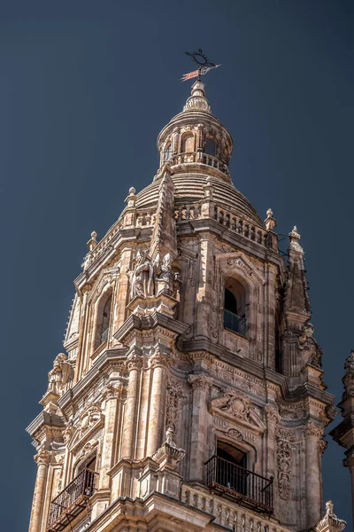 新大聖堂 ヌエバ大聖堂はサラマンカの2つの大聖堂の1つです ゴシック様式とバロック様式で16世紀から18世紀に建設されました — ストック写真
