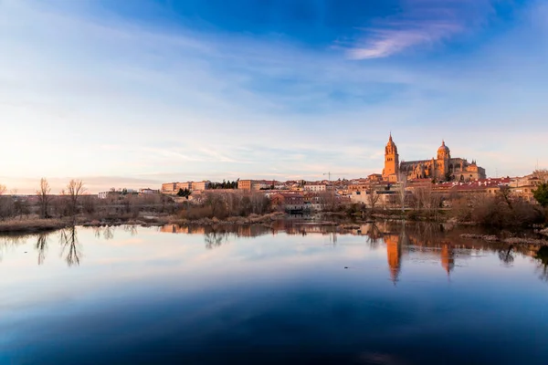 Nouvelle Cathédrale Catedral Nueva Est Une Des Deux Cathédrales Salamanque — Photo