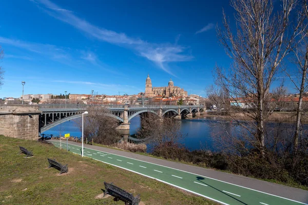 Salamanca España Febrero 2022 Vista Panorámica Salamanca Con Catedral Otro — Foto de Stock