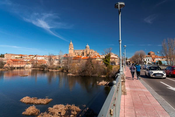 Salamanca Espanha Fevereiro 2022 Vista Panorâmica Salamanca Com Catedral Outro — Fotografia de Stock