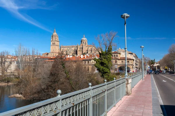 Salamanca España Febrero 2022 Vista Panorámica Salamanca Con Catedral Otro — Foto de Stock