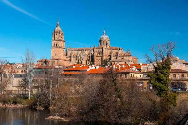 Salamanca Spanien Februar 2022 Die Neue Kathedrale Catedral Nueva Ist — Stockfoto