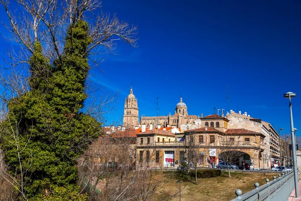 Salamanca Spanje Feb 2022 Nieuwe Kathedraal Catedral Nueva Een Van — Stockfoto