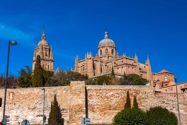 Salamanca Spain Feb 2022 New Cathedral Catedral Nueva One Two — Stock Photo, Image