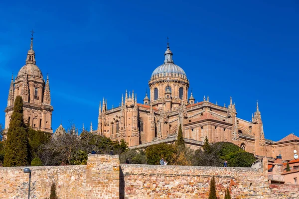 Salamanca Spain Feb 2022 New Cathedral Catedral Nueva One Two — Stock Photo, Image