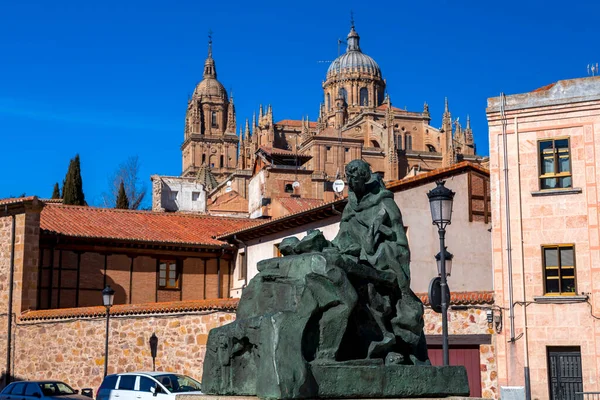 Salamanca España Feb 2022 Catedral Nueva Una Las Dos Catedrales — Foto de Stock