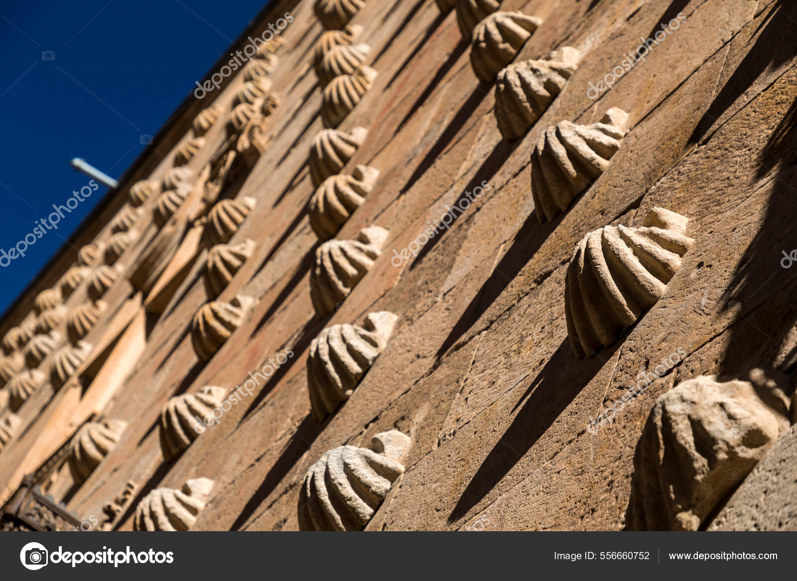 Sandstone Surface Sea Shell Carvings Ancient Wall Texture Detail ...