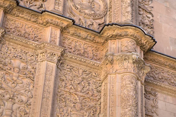 有名なカエルの救済があるサラマンカ大学の高原のファサードは 1529年に建てられました — ストック写真