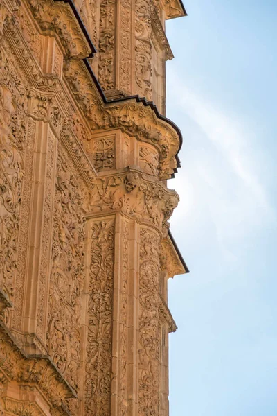 Плямистий Фасад Саламанкського Університету Можна Знайти Знамениту Допомогу Жаб Збудовану — стокове фото