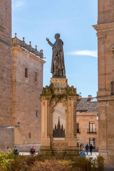 Salamanca Spagna Feb 2022 Nuova Cattedrale Catedral Nueva Una Delle — Foto Stock