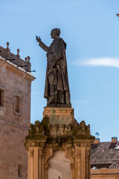 Salamanca Spagna Feb 2022 Nuova Cattedrale Catedral Nueva Una Delle — Foto Stock