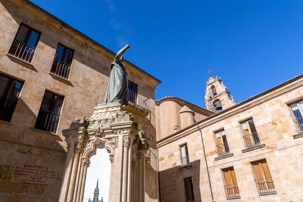 Salamanca Spagna Feb 2022 Nuova Cattedrale Catedral Nueva Una Delle — Foto Stock