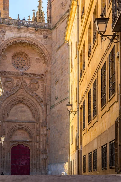 Nouvelle Cathédrale Catedral Nueva Est Une Des Deux Cathédrales Salamanque — Photo