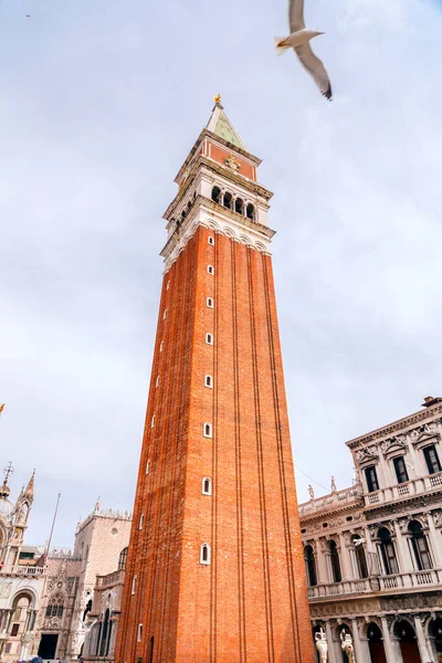 Campanile Svatého Marka Italštině Campanile San Marco Zvonice Baziliky Svatého — Stock fotografie