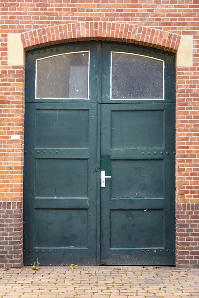 Старі Красиві Орнаментальні Двері Класичні Архітектурні Деталі — стокове фото