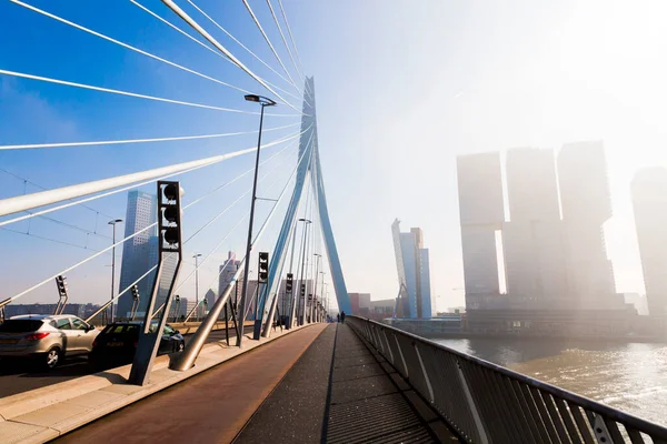 Rotterdam Netherlands October 2021 Erasmus Bridge Maas Meuse River Rotterdam — Zdjęcie stockowe