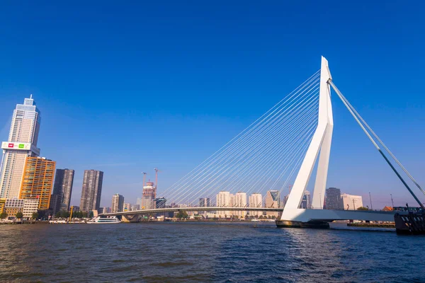 Roterdão Países Baixos Outubro 2021 Ponte Erasmus Sobre Rio Maas — Fotografia de Stock