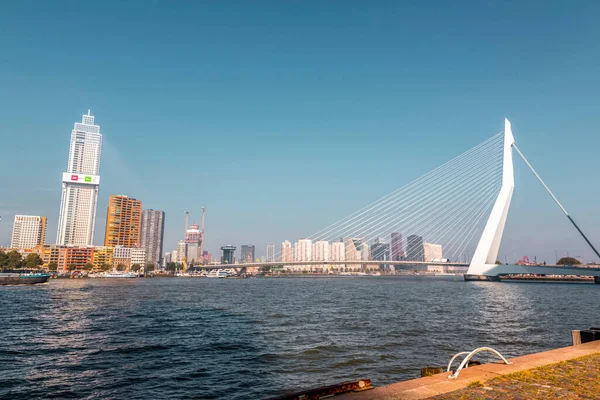 Rotterdam Hollanda Ekim 2021 Hollanda Nın Ikinci Büyük Kenti Olan — Stok fotoğraf