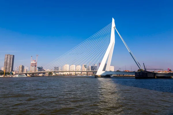 Rotterdam Netherlands October 2021 Erasmus Bridge Maas Meuse River Rotterdam —  Fotos de Stock