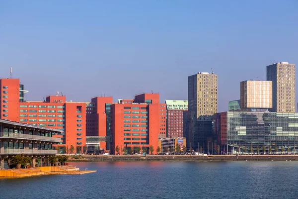 Rotterdam Hollanda Ekim 2021 Nieuwe Maas Nehri Nin Kıyısında Yer — Stok fotoğraf