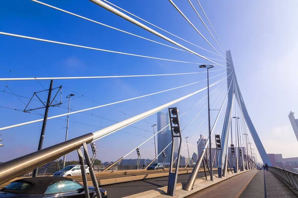 オランダのロッテルダム 2021年10月8日 オランダ第2の都市ロッテルダムのMaasまたはMeuse川に架かるエラスムス橋 — ストック写真