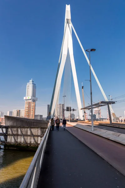 Roterdão Países Baixos Outubro 2021 Ponte Erasmus Sobre Rio Maas — Fotografia de Stock