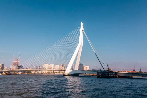 Roterdão Países Baixos Outubro 2021 Ponte Erasmus Sobre Rio Maas — Fotografia de Stock