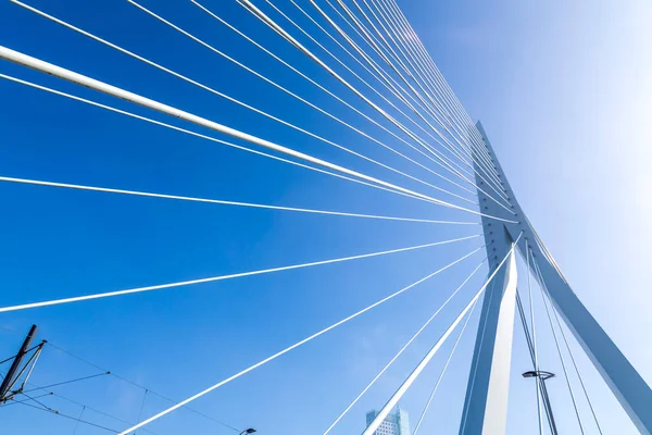 荷兰第二大城市鹿特丹Maas或Meuse河上的Erasmus桥 — 图库照片