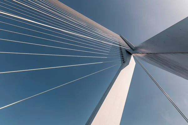 Most Erasmus Przez Maas Lub Rzekę Mouse Rotterdamie Drugim Wielkości — Zdjęcie stockowe