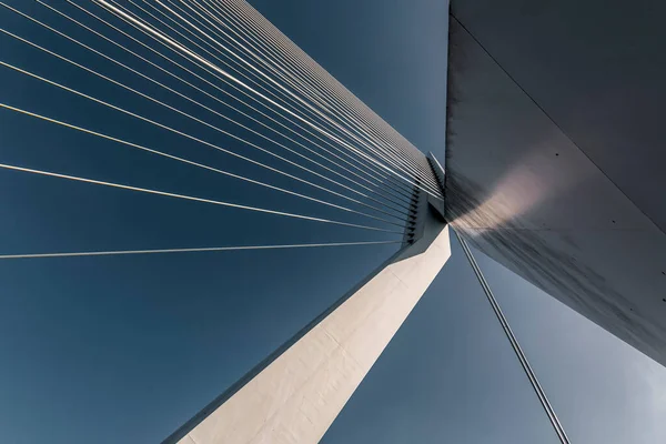 オランダ第2の都市ロッテルダムのマース川またはムーズ川に架かるエラスムス橋 — ストック写真