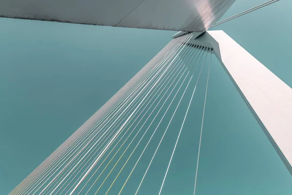Most Erasmus Przez Maas Lub Rzekę Mouse Rotterdamie Drugim Wielkości — Zdjęcie stockowe