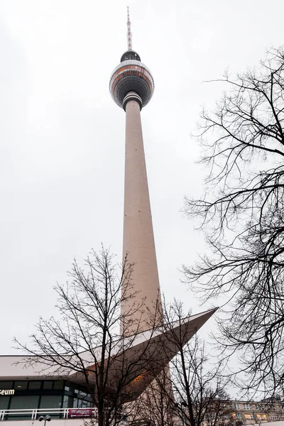 Berlin Germany December 2021 Berlin Television Tower Berliner Fernsehturm Night — Zdjęcie stockowe