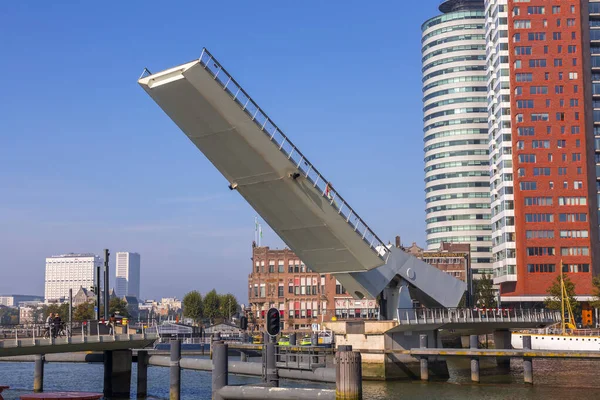 Rotterdam Oct 2021 Rijnhaven Bridge Regionally Known Hoerenloper Pedestrian Bicycle — Stock Fotó