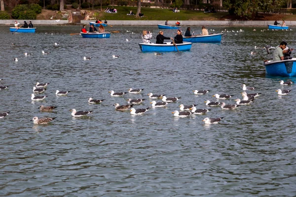 Madrid Spain Feb 2022 People Having Fun Rowing Boats Pond — Stok fotoğraf