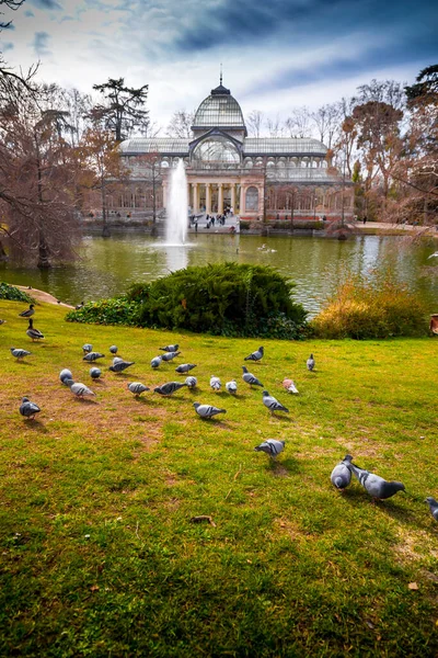 Palácio Cristal Palácio Vidro Conservatório Localizado Parque Buen Retiro Madrid — Fotografia de Stock