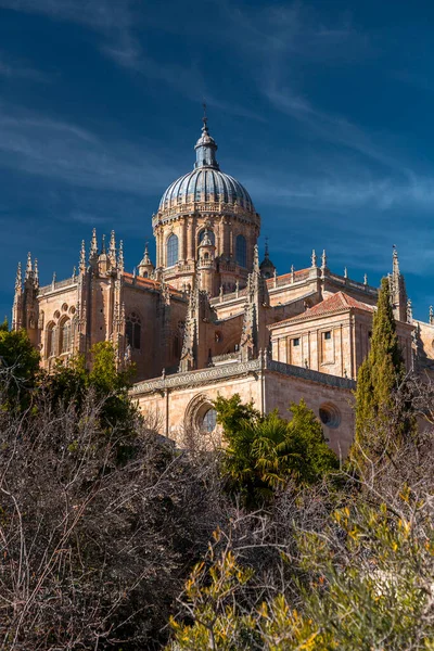 Νέα Μητρόπολη Catedral Nueva Είναι Ένας Από Τους Δύο Καθεδρικούς — Φωτογραφία Αρχείου