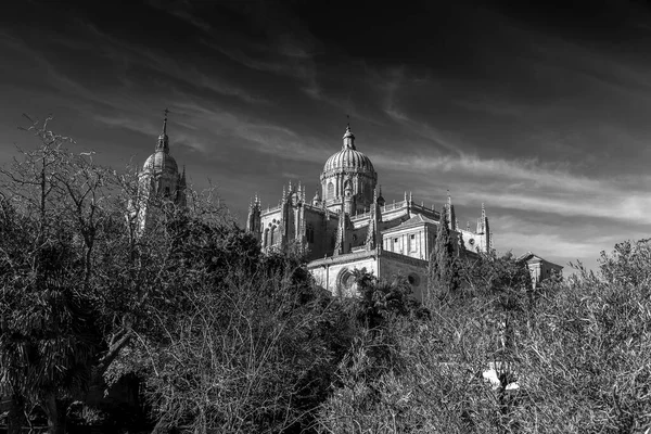 Nová Katedrála Katedrála Nueva Jednou Dvou Katedrál Salamanca Postaven Mezi — Stock fotografie