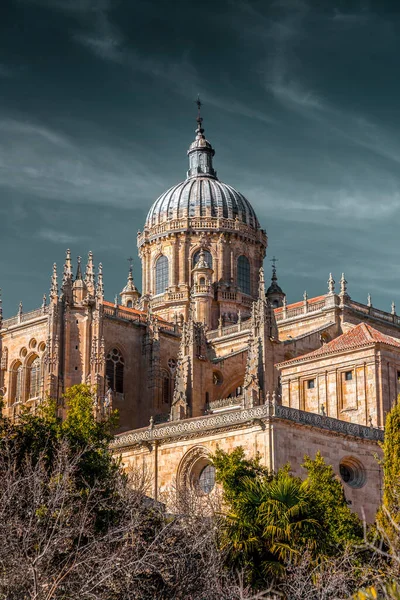 Catedral Nova Catedral Nueva Uma Das Duas Catedrais Salamanca Construído — Fotografia de Stock