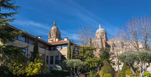 Catedral Nueva Una Las Dos Catedrales Salamanca Construido Entre Los — Foto de Stock