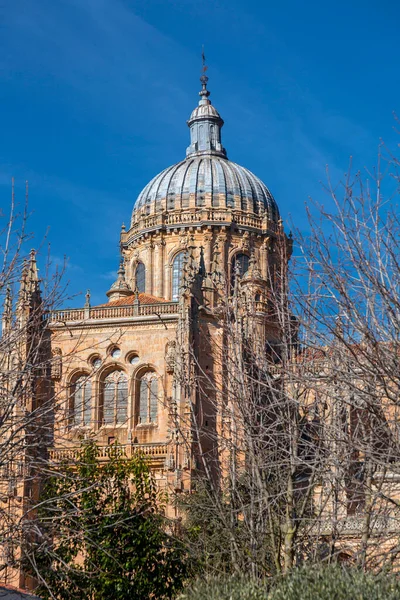 Νέα Μητρόπολη Catedral Nueva Είναι Ένας Από Τους Δύο Καθεδρικούς — Φωτογραφία Αρχείου