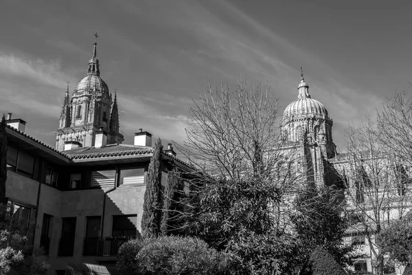 Catedral Nueva Nieuwe Kathedraal Een Van Twee Kathedralen Van Salamanca — Stockfoto