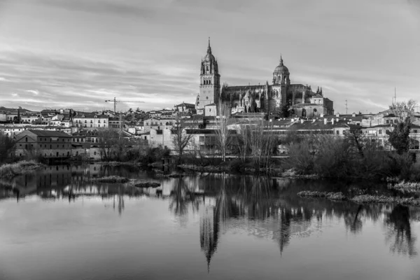 Salamanca Skyline Άποψη Τον Καθεδρικό Ναό Της Σαλαμάνκα Και Την — Φωτογραφία Αρχείου