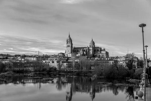 Salamanca Vista Panorámica Catedral Salamanca Reflexión Sobre Río Tormes España —  Fotos de Stock