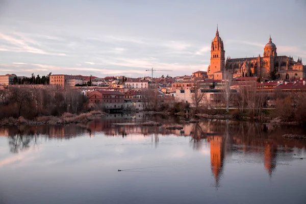 Salamanca Vista Panorâmica Com Catedral Salamanca Sua Reflexão Sobre Rio — Fotografia de Stock