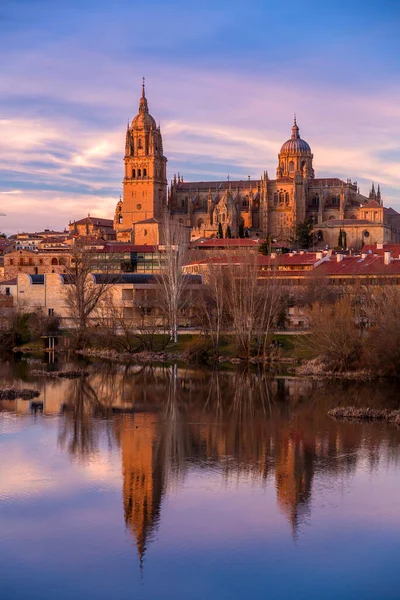 サラマンカ大聖堂とそのスペインのトルメス川への反射とスカイラインビュー — ストック写真
